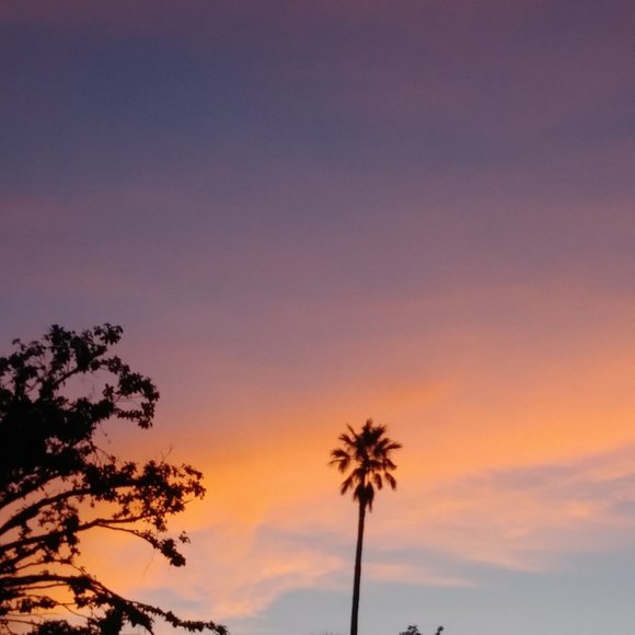 Meet your Posher, K - Picture 1 of 1